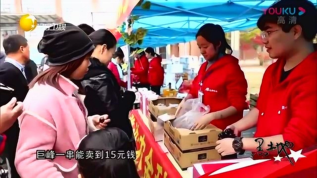 天下三农:科研成果亮相沈阳农业大学银杏节