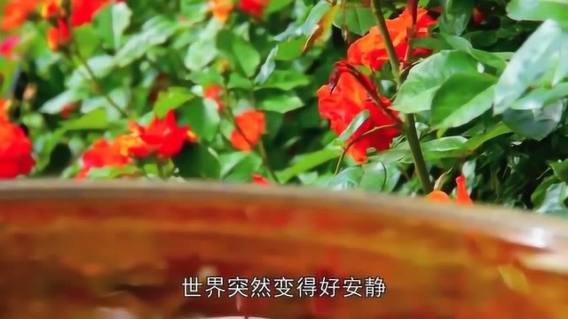 抖音爆火的歌曲《静悄悄》,温柔的嗓音,唱出了灵魂