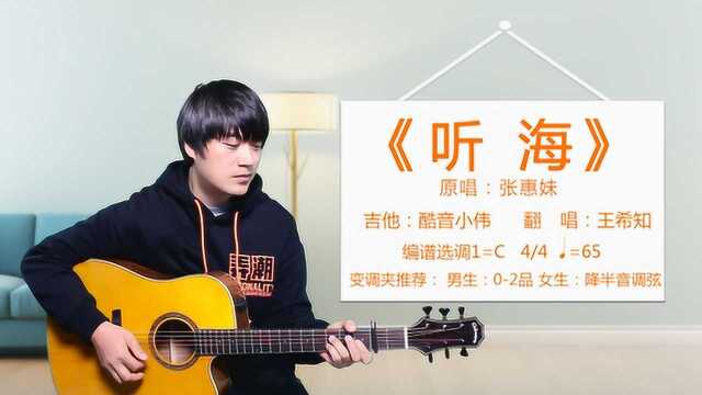 《听海》张惠妹 酷音小伟吉他弹唱教学吉他自学教程