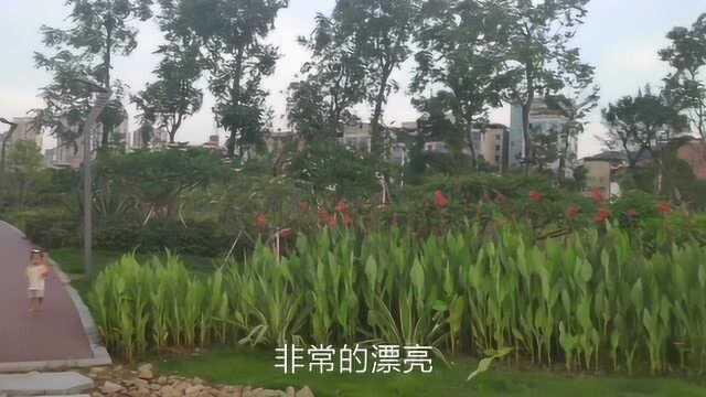 厦门岛外这个地方房租便宜,环境优美,厦漂可以看过来