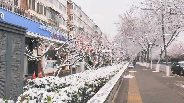 11月29日喜提今冬初雪,记我眼中银装素裹的北京城