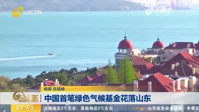 中国首笔!1亿美元绿色气候基金花落山东 助力山东应对气候变化