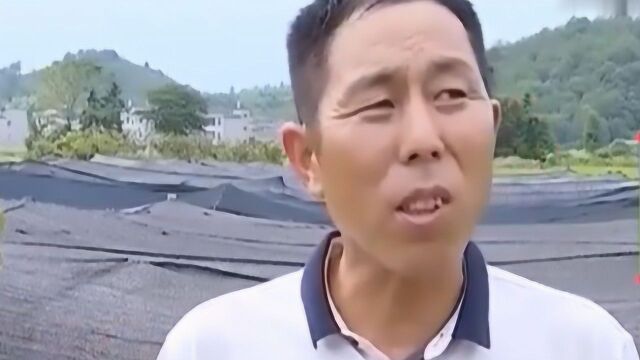 种植菌菇成“致富达人” 不仅带动贫困户脱贫 还帮助了企业的发展