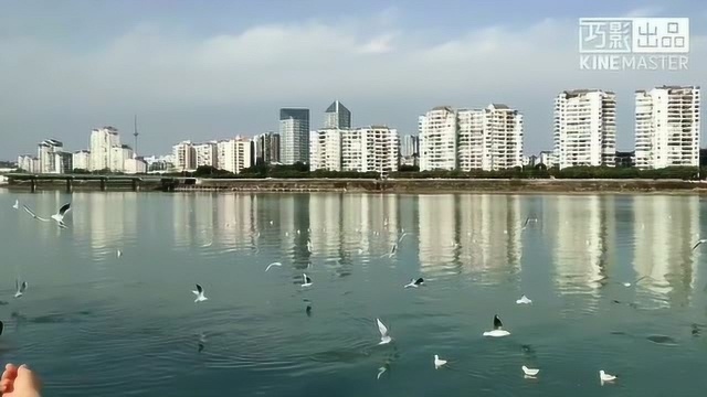 军哥畅游绵阳三江半岛湿地公园,领略美景拍摄美图,是旅游休闲好去处