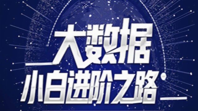 大数据开发基于Flink实现实时监控维基百科