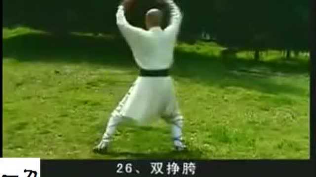 武术教学公开课:少林金刚拳