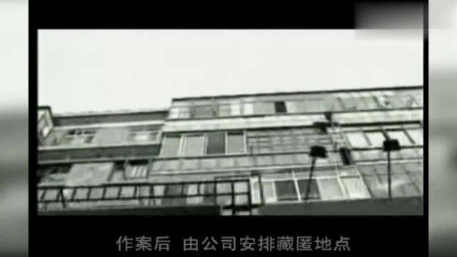 纪录片:犯罪分子成立公司,以合法经营为幌子,杀人抢劫无恶不作