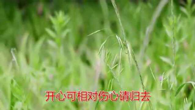 一首经典歌曲《你为了爱情》经典旋律,百听不厌