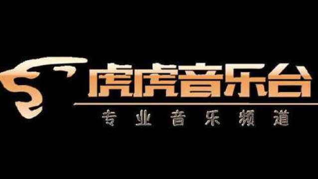 虎虎音乐台制作,导播台分割屏,音乐现场导播素材8