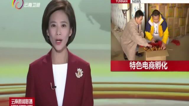 文山市:政企合作搭台,探索特色电商孵化之路