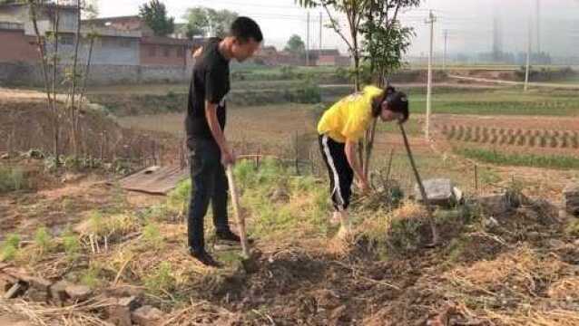 小伙买房房产证要写媳妇名,丈母娘却让写女婿名字,媳妇不愿意了