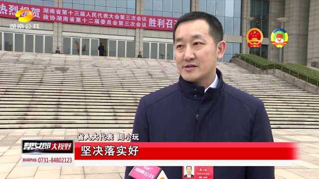 代表委员履职为民 让湖湘百姓收获满满幸福