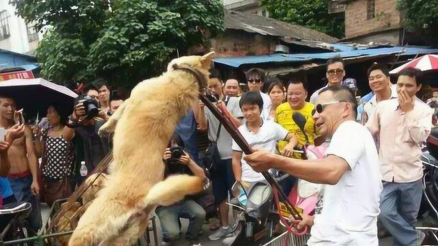 航拍广西玉林,因狗肉名声大噪的城市,看看玉林到底是个什么样子