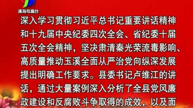 01227通海县纪委十二届五次会议决议