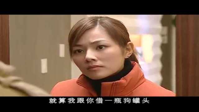 小伙的狗子对美女的狗子下手了,小伙没想到你把贞操看这么重要