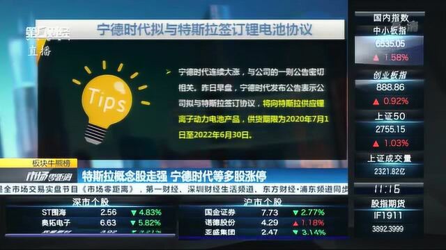 特斯拉概念股大爆发,宁德时代两日飙涨14%市值一天涨近300亿丨热公司