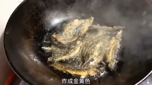 今天做一道正宗的湘西美食:油炸泥鳅