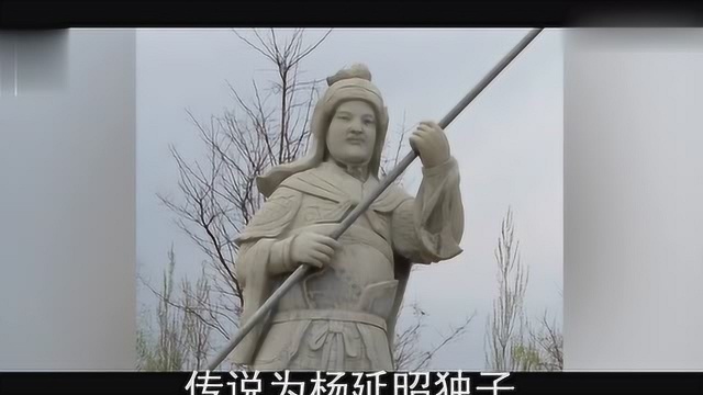 传说杨家将有十代英雄,这十代英雄分别是谁?