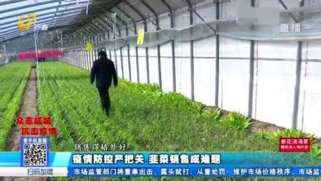 急需销售!疫情防控严把关 200亩韭菜急待销售 特派员帮忙协调