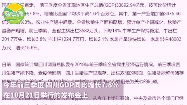 四川省统计局:预计明年上半年左右猪肉价格能得到缓解