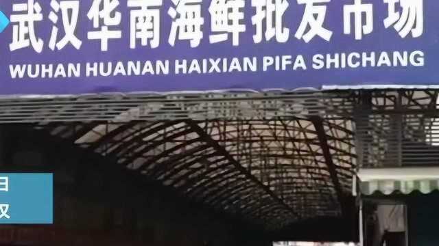 重回武汉新型冠状病毒肺炎起点 卖野味的华南海鲜市场老板是谁