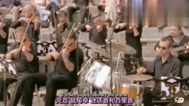 世界名曲《斯卡布罗集市》,最优美的歌声,犹如天籁