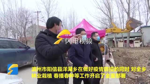 滨州阳信县洋湖乡农业生产与疫情防控同步推进