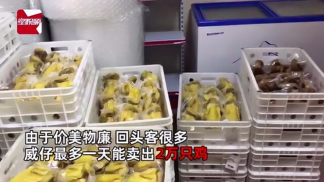 自救典范!广东一餐厅老板电商卖鸡,一天2万只一周卖出100多万