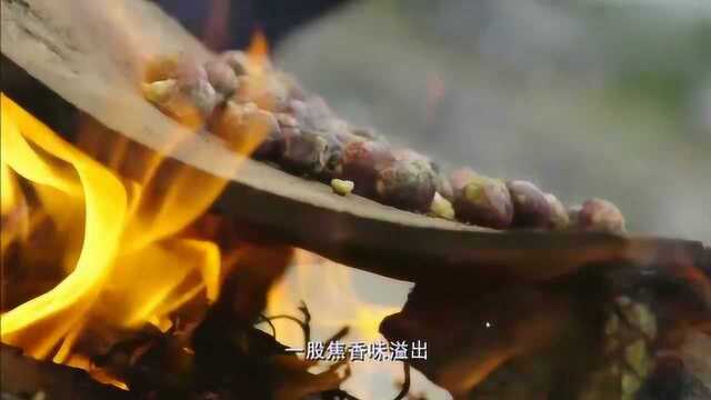 老广的味道:芡实最原始的吃法,当时的肇庆人将它当做零食来吃