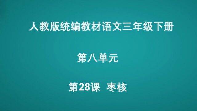 第八单元第28课《枣核》0616语文