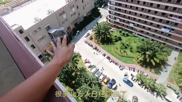 在海南的东方,我见到了最密集的小区,无法想象里面住了多少人