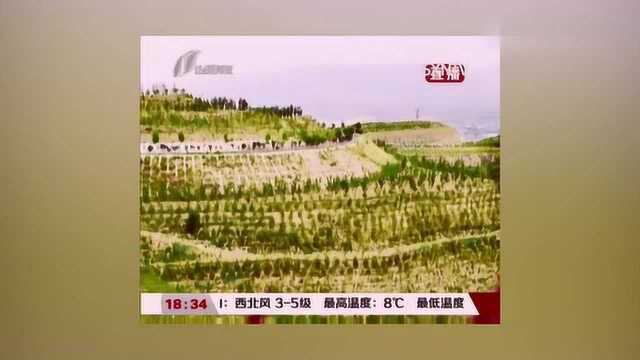 太原国土绿化成效显著,力争到2025年森林覆盖率达30﹪以上