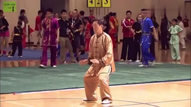 太极名家陈正雷先生演练太极拳,不愧是高手,看这架势就不一样!