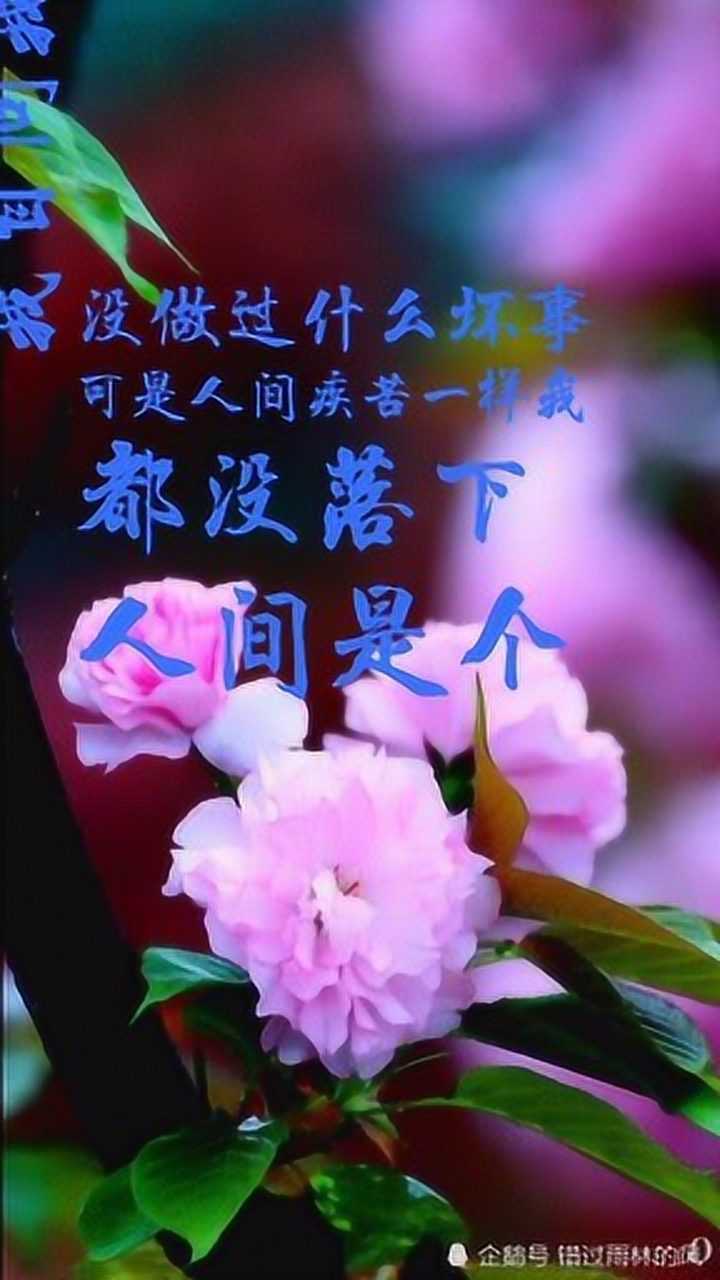 情感语录人间是个好地方但我下辈子不来了