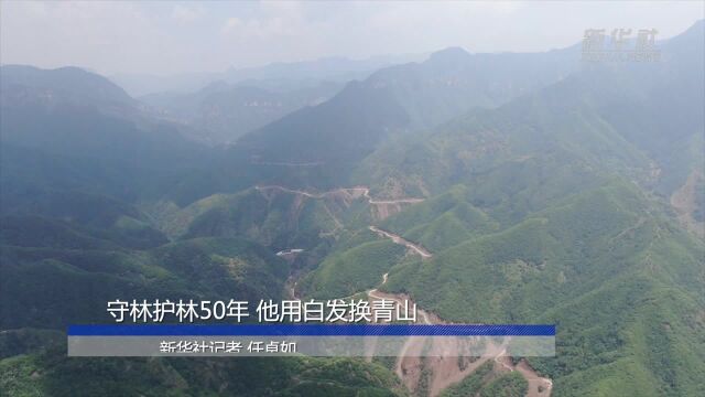 守林护林50年 他用白发换青山