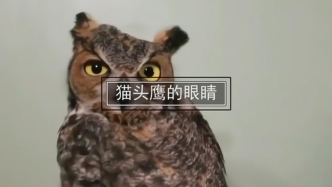 1280