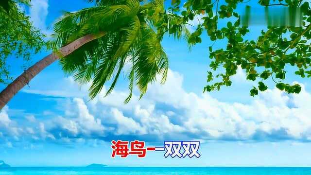 一首经典情歌《夏天的海边》