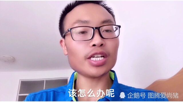 母猪产后胎衣不下怎么办,图腾来分享解决的小妙招,建议收藏!