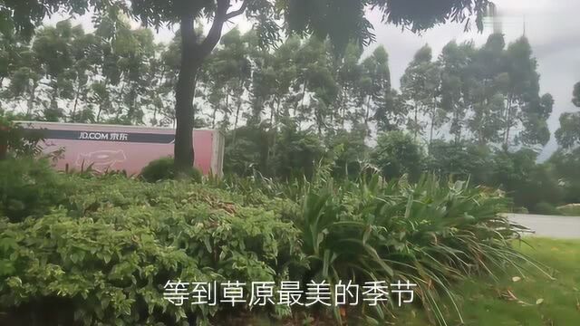 从南海区开车路过三水乐平镇,路上绿化做得不错,下着蒙蒙细雨!