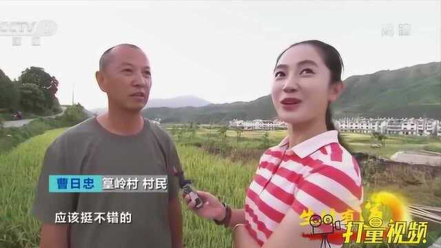 吃和住都有好口碑,他的农家乐客源不断,他是怎么做的呢央视网