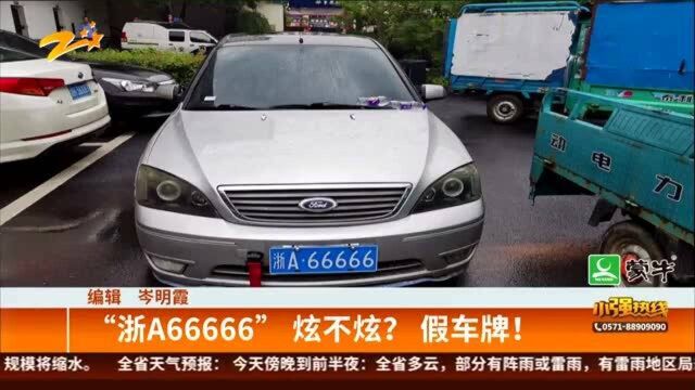 “浙A66666”炫不炫? 假车牌?