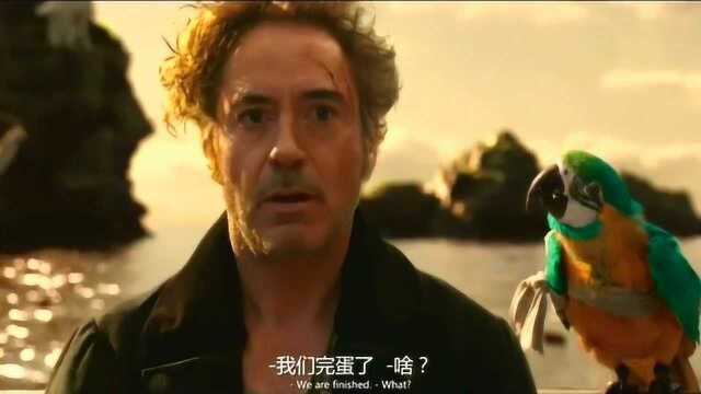 当他转行成为兽医,是否也会很厉害?