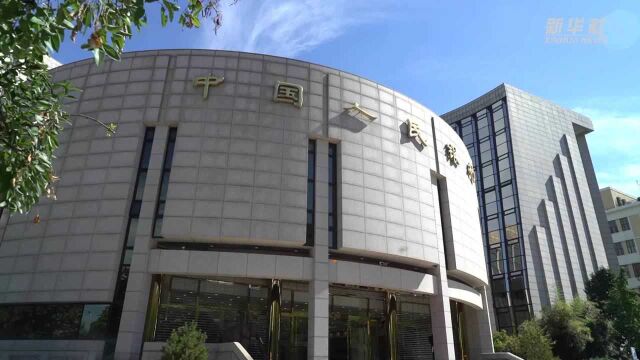 中国人民银行行长易纲:保持金融总量适度 着力稳企业保就业