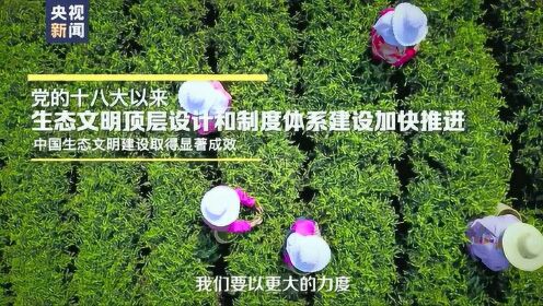 时政微视频丨人不负青山 - 腾讯视频