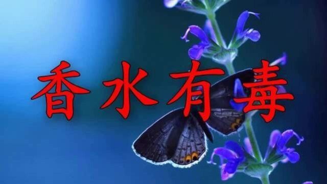 桂莹莹一首《香水有毒》宛如天籁之音,甜甜醉人,勾起满满的回忆!