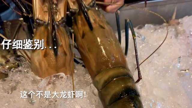 湄公河流域重达一斤的大头虾到底什么味道