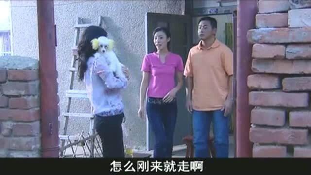 我的丑娘:老公回来了,阔太许倩倩故意说肩疼,老公却让保姆来