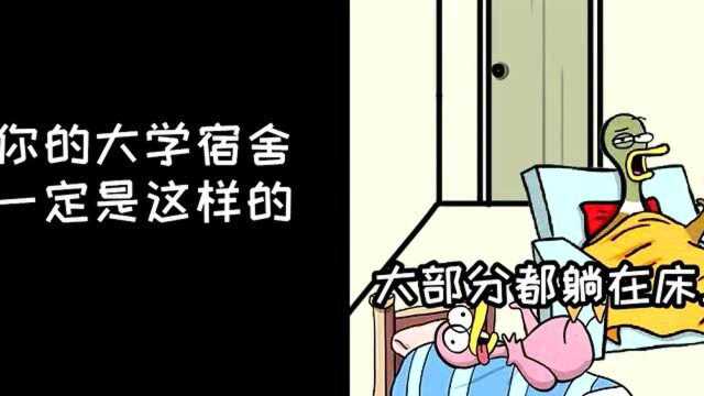 有多少人的,大学宿舍是这样的?