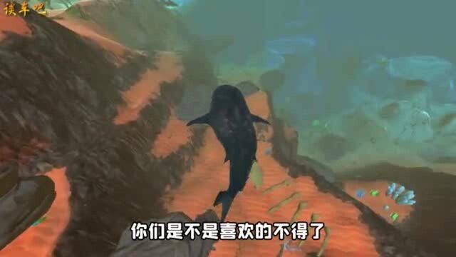 海底大猎杀:鲨鱼做梦也没想到自己会被水蛭吃掉!