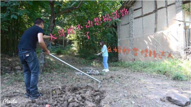 乡村田园:李二娃三兄妹,建设后院,大哥心疼兄弟抢活干.